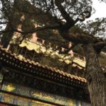 chine_116_