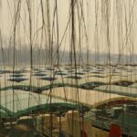 chine_117_