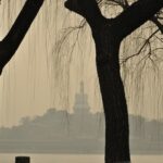 chine_118_