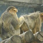 chine_139_