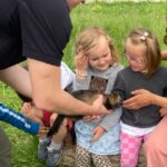 Primaire (30)