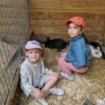 Primaire (31)