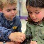 Primaire (35)