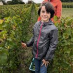 Primaire (4)