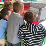 Primaire (40)